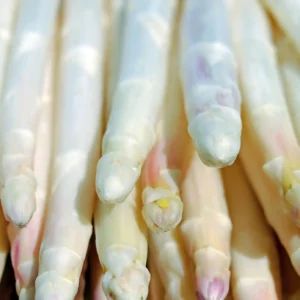 Pointes d'asperges grosses
