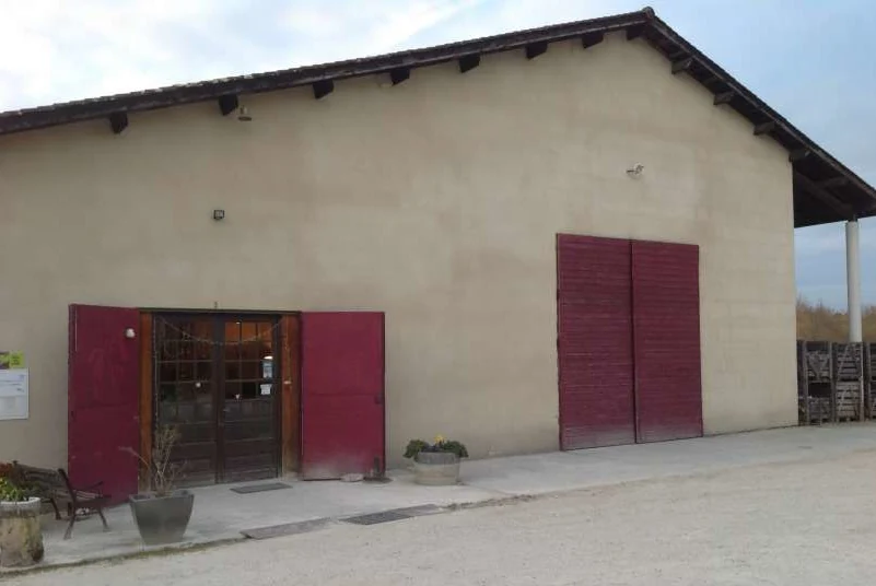 Asperges Gabin vignobles