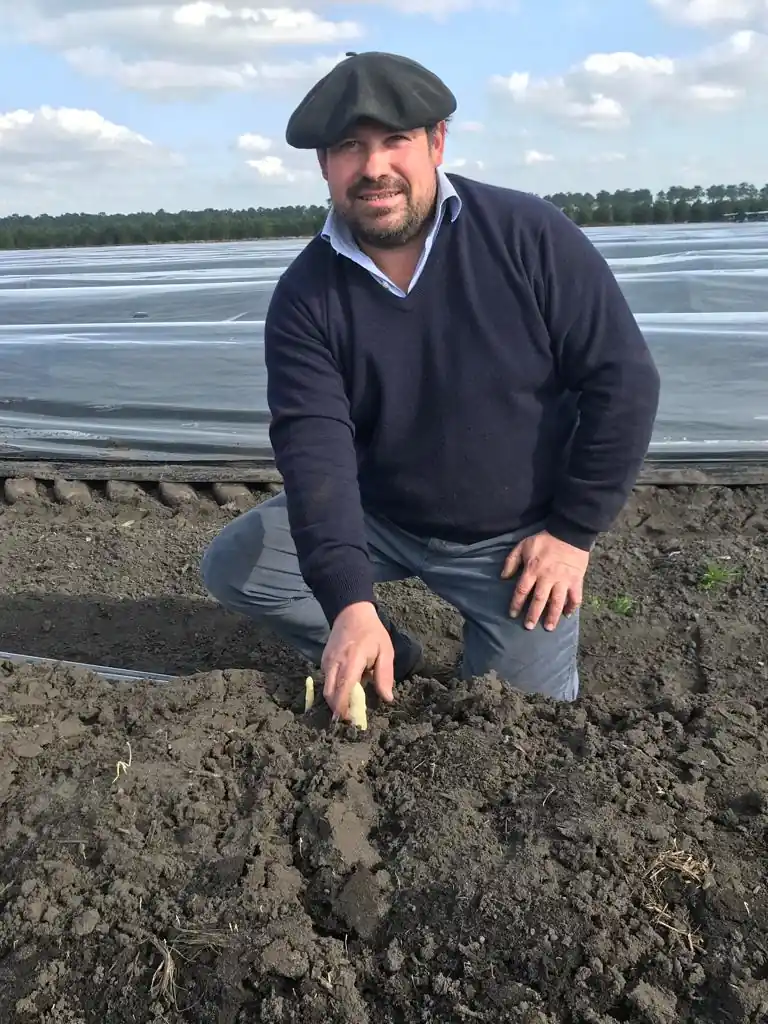 MATHIEU GABIN Asperges Gabin Mathieu Gabin